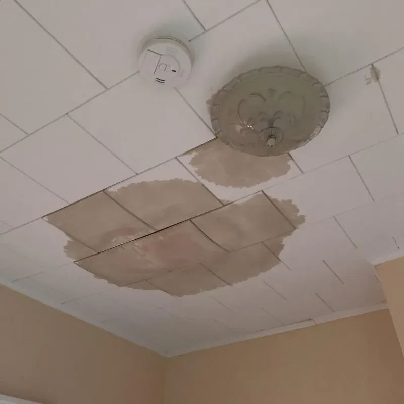 Ceiling Water Damage Repair in Winthrop, MA