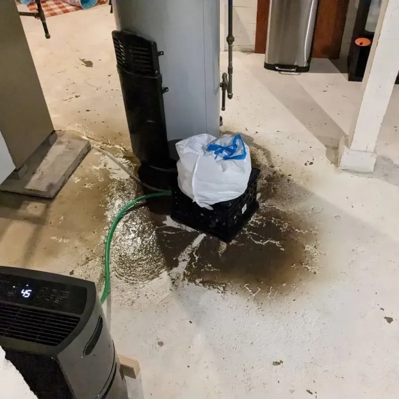 Sewage Backup Cleanup Service in Winthrop, MA